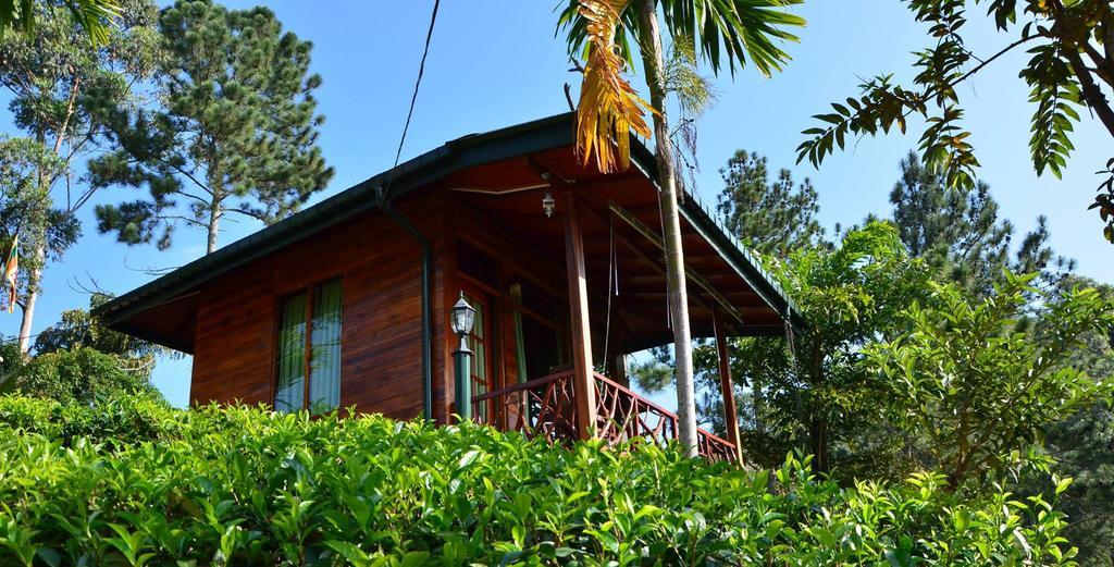 Ella Mount Relax Cottage エクステリア 写真